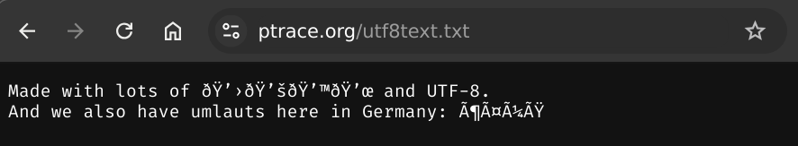 Image of garbled unicode characteres